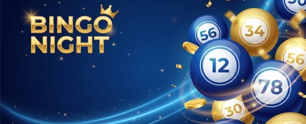 Ночная игра Bingo Night в Loto Club